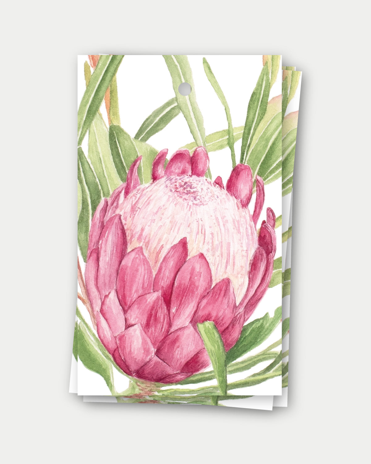 Fine Art Gift Tags (set of 5)