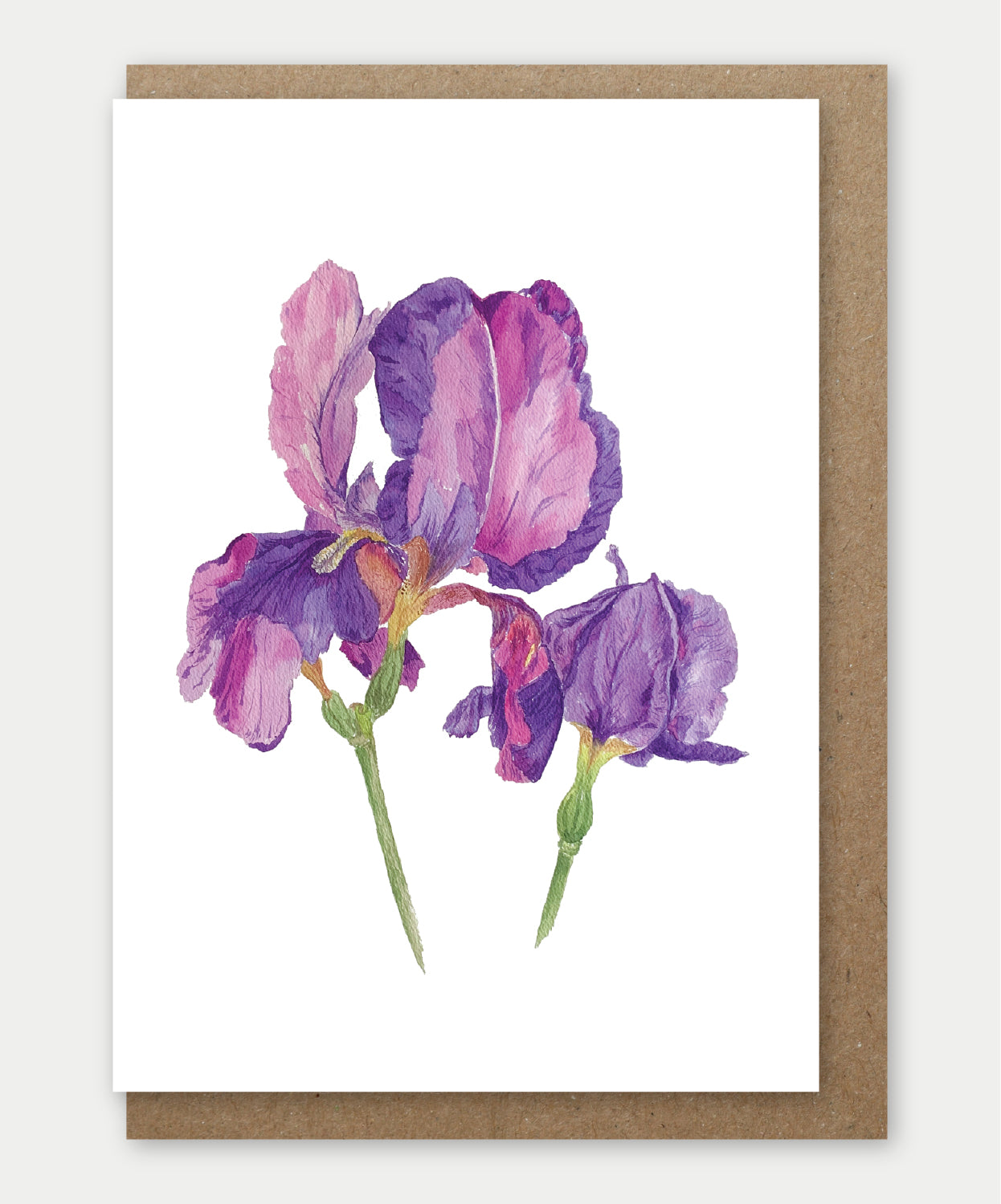 Purple Iris Greeting card