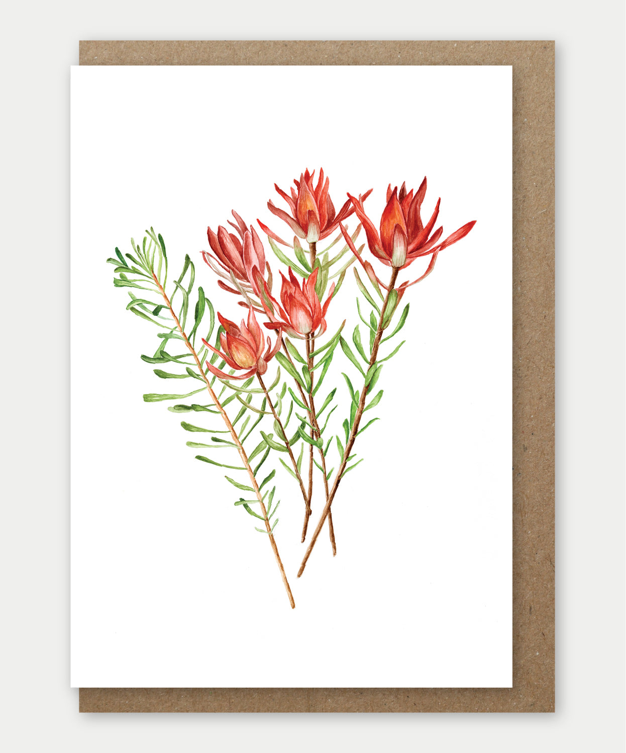Fynbos Safari Sunset Greeting card