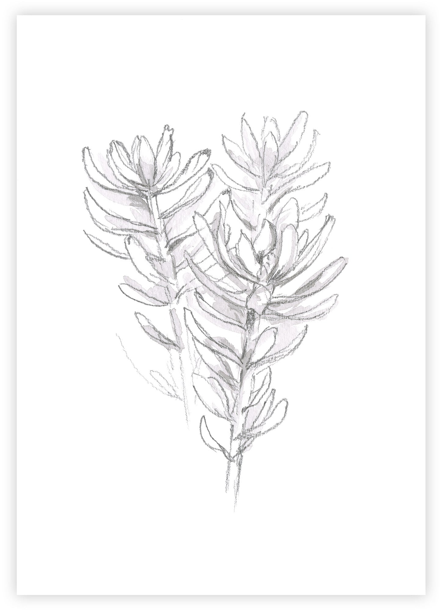 Print Pair: Bloom & Softly