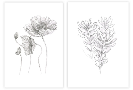 Print Pair: Bloom & Softly