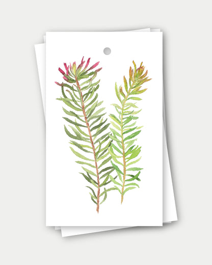 Fine Art Gift Tags (set of 5)