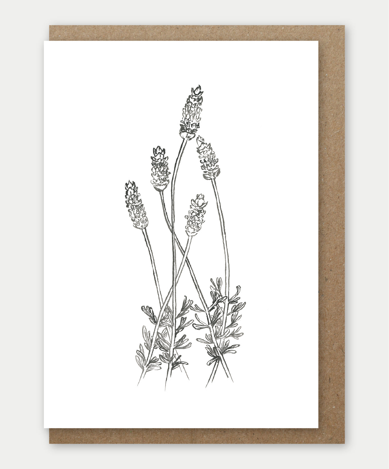 Lavender Greeting card