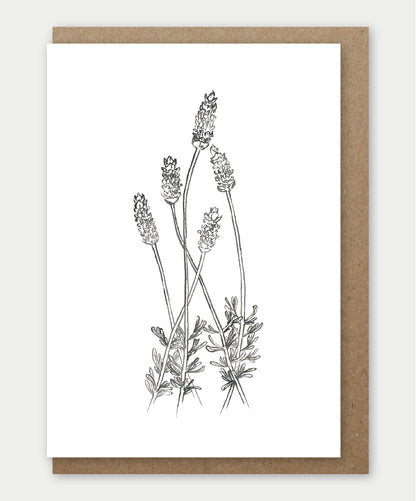 Greeting cards (Large)