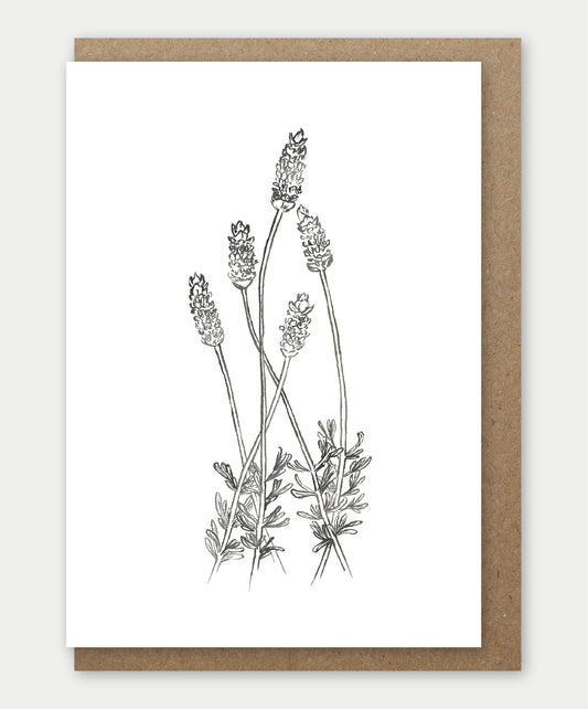 Lavender Greeting card