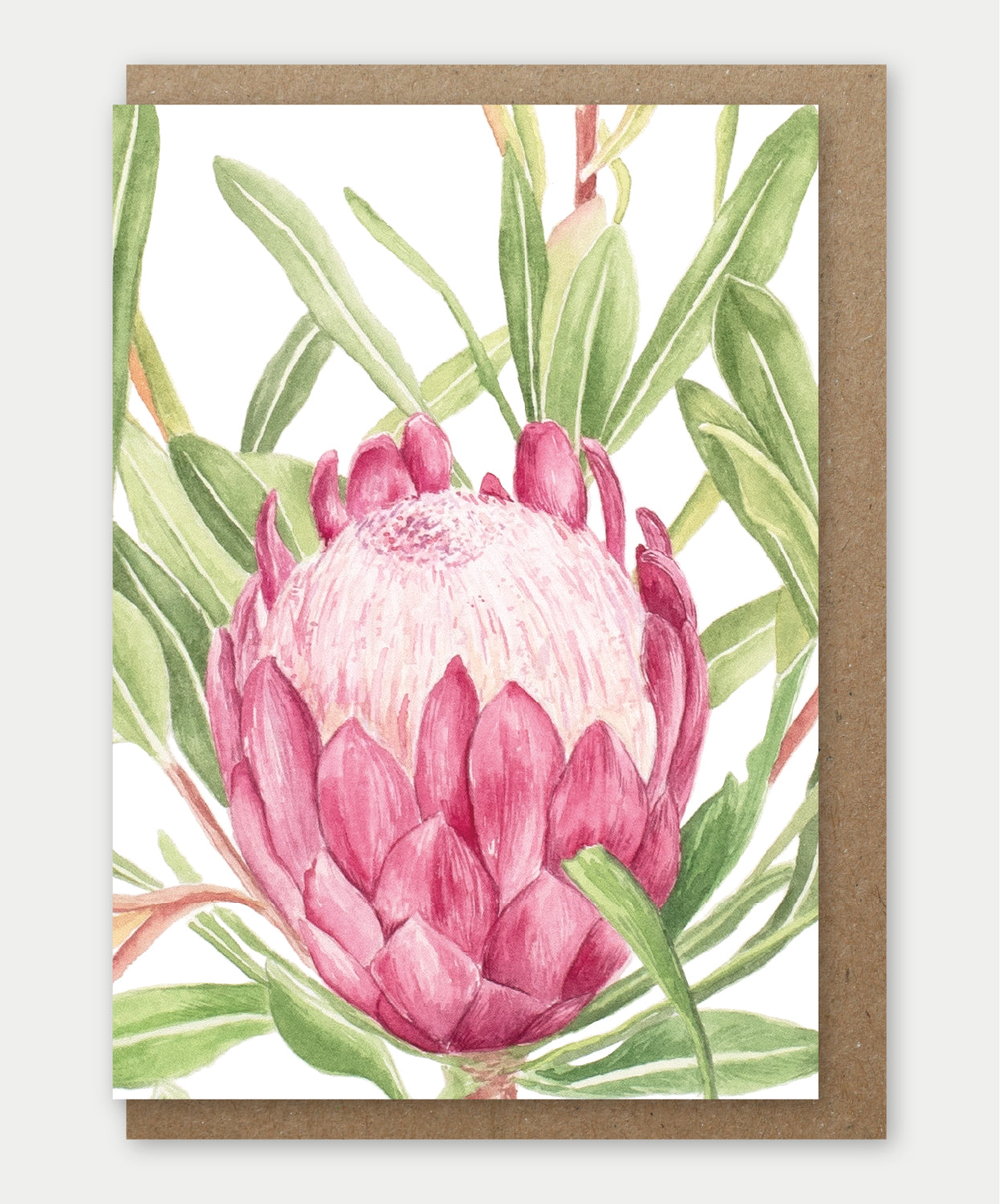 Pink Ice Protea Greeting card