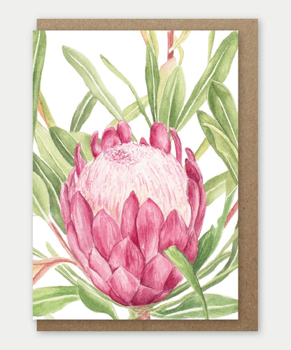 Greeting cards (Large)