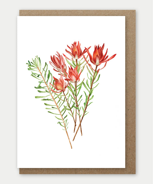 Fynbos Safari Sunset Greeting card